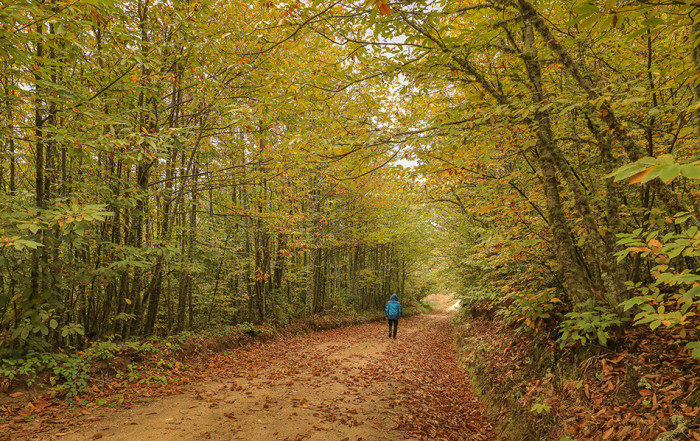 Souto de Prados, Aldeia de Montanha